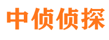 华宁市调查公司